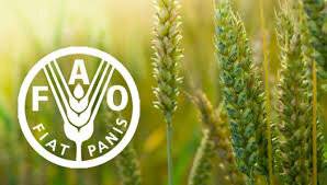 Nuevo informe de la FAO advierte del impacto del COVID-19 en la seguridad alimentaria de América Latina y el Caribe